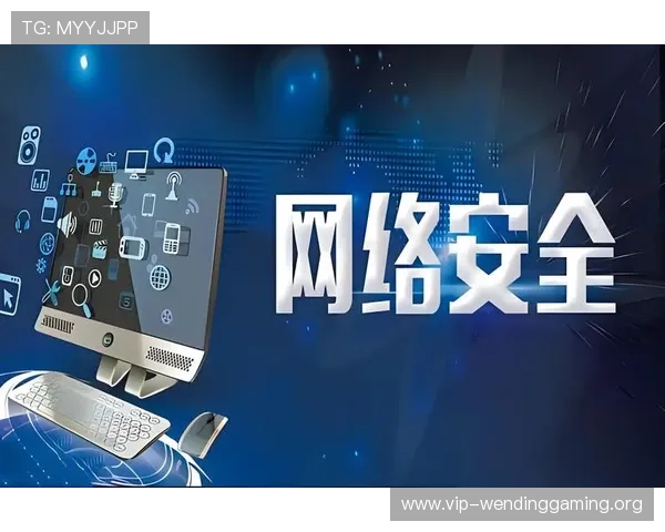 问鼎线上官网：确保信息安全与用户隐私保护的关键策略